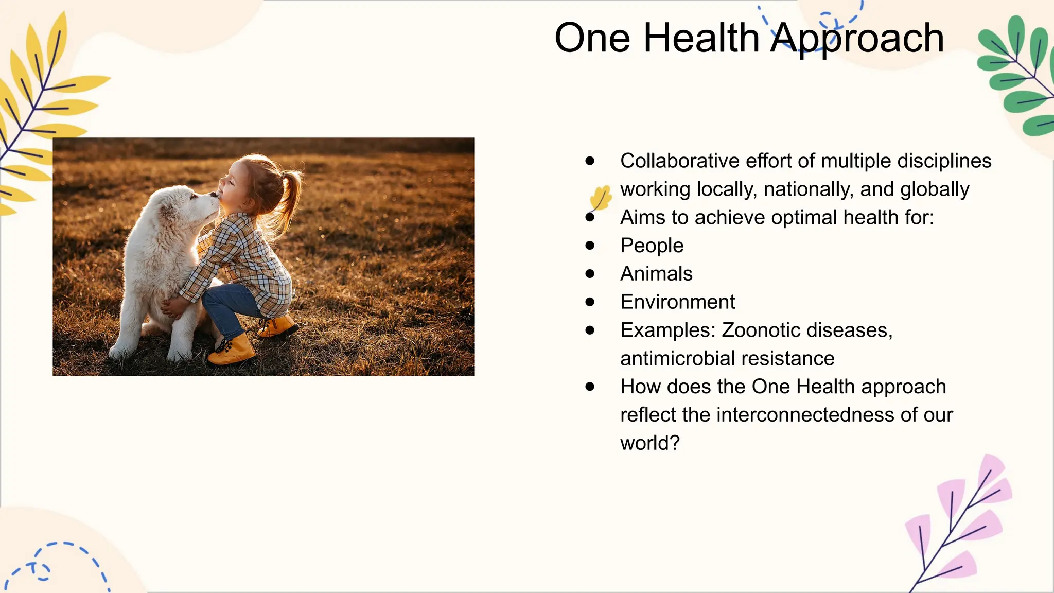One Health Approach
● Collaborative effort of multiple disciplines
working locally, nationally, and globally
● Aims to achieve optimal health for:
● People
● Animals
● Environment
● Examples: Zoonotic diseases,
antimicrobial resistance
● How does the One Health approach
reflect the interconnectedness of our
world?
 