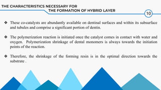 Comprehensive Overview of Dentin Hybrid Layer Formation and ...