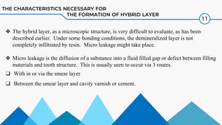 Comprehensive Overview of Dentin Hybrid Layer Formation and ...