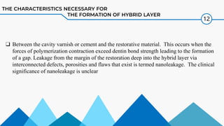 Comprehensive Overview of Dentin Hybrid Layer Formation and ...