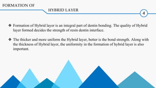 Comprehensive Overview of Dentin Hybrid Layer Formation and ...