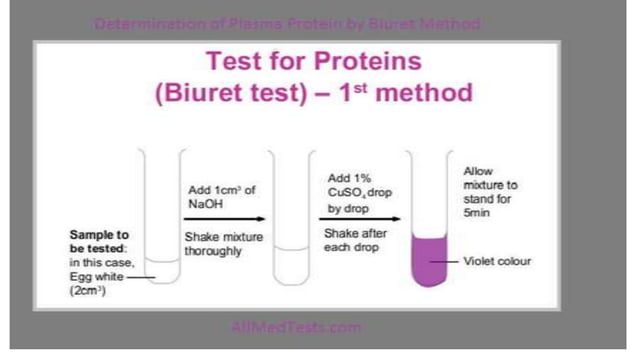 DIFFERENT METHODS OF PROTEIN ESTIMATION - PROTEINS AND ENZYMES ...