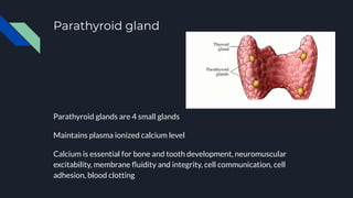 Endocrinopathy and oral diseases | PDF