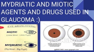 MYDRIATIC AND MIOTIC
AGENTS AND DRUGS USED IN
GLAUCOMA :)
 