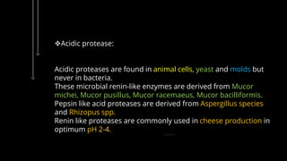 Acidic protease:
Acidic proteases are found in animal cells, yeast and molds but
never in bacteria.
These microbial renin-like enzymes are derived from Mucor
michei, Mucor pusillus, Mucor racemaeus, Mucor bacilliformis.
Pepsin like acid proteases are derived from Aspergillus species
and Rhizopus spp.
Renin like proteases are commonly used in cheese production in
optimum pH 2-4.
 