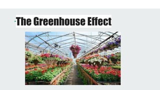 The Greenhouse Effect
 