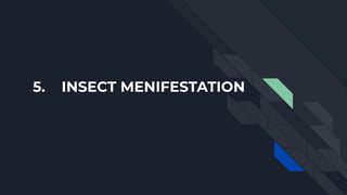 5. INSECT MENIFESTATION
 