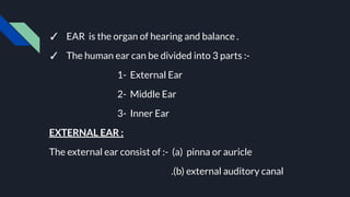 ✓ EAR is the organ of hearing and balance .
✓ The human ear can be divided into 3 parts :-
1- External Ear
2- Middle Ear
3- Inner Ear
EXTERNAL EAR :
The external ear consist of :- (a) pinna or auricle
.(b) external auditory canal
 