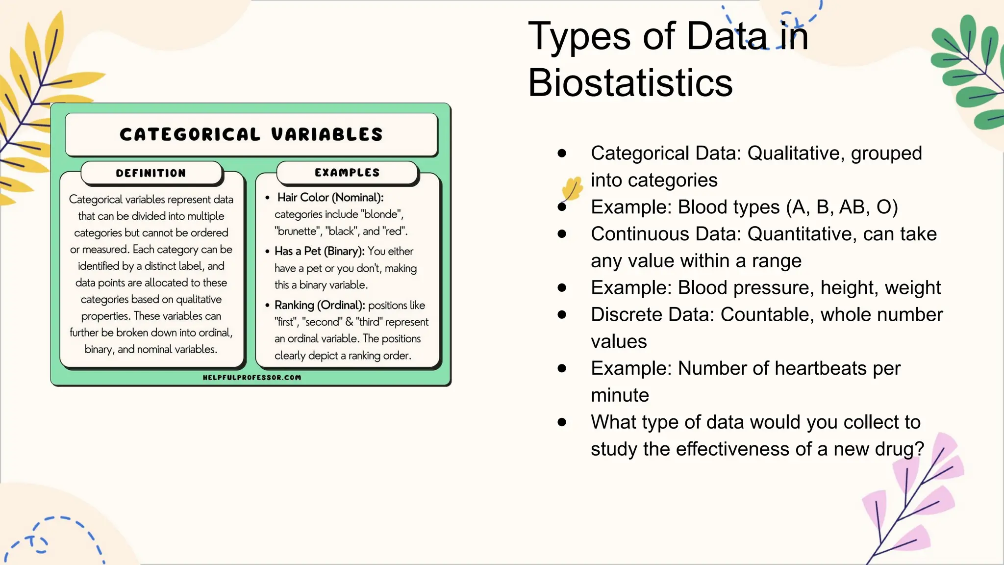 Introduction to Basic Biostatistics (Biostats) | PPTX