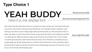 Type Choice 1
Montserrat Semi-Bold
Neue Haas Grotesk Display Std Thin
Avenir Light 95% width
 
