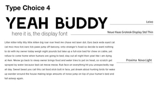 Type Choice 4
Leixo
Neue Haas Grotesk Display Std Thin
Proxima Nova Light
 