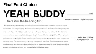 Final Font Choice
Leixo
Neue Haas Grotesk Display Std Light
Neue Haas Grotesk
Display Std Ultra Thin
 
