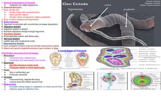 Microtrichae Insects M.Sc. Nonchordates Complete Syllabus PPT | All Important Topics Covered ...