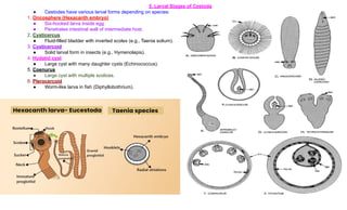 Insect Bladder M.Sc. Nonchordates Complete Syllabus PPT | All Important Topics Covered ...