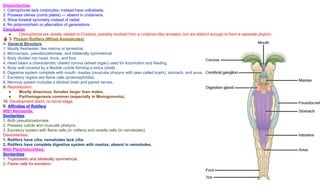 Colloblasts Example M.Sc. Nonchordates Complete Syllabus PPT | All Important Topics Covered ...