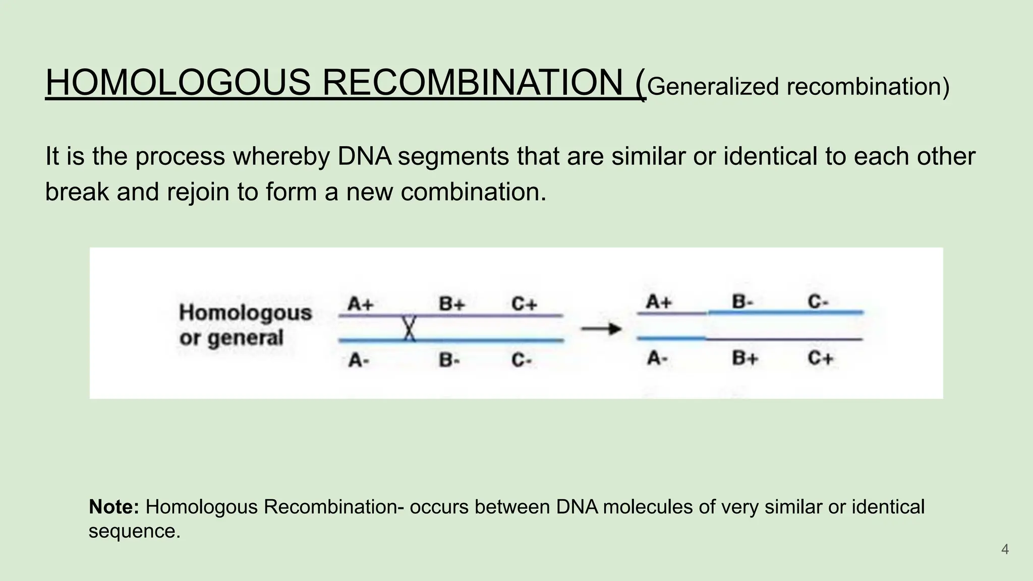 HOMOLOGOUS RECOMBINATION (Generalized recombination)
It is the process whereby DNA segments that are similar or identical to each other
break and rejoin to form a new combination.
Note: Homologous Recombination- occurs between DNA molecules of very similar or identical
sequence.
4
 