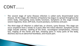 • The second stage of Lyme Disease infection is called early disseminated Lyme
Disease. At this stage, the infection of ba...