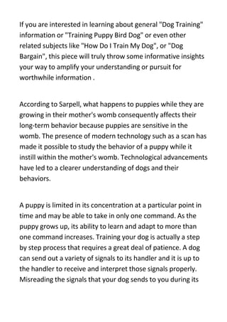 If you are interested in learning about general quot;Dog Trainingquot;
information or quot;Training Puppy Bird Dogquot; or even other
related subjects like quot;How Do I Train My Dogquot;, or quot;Dog
Bargainquot;, this piece will truly throw some informative insights
your way to amplify your understanding or pursuit for
worthwhile information .


According to Sarpell, what happens to puppies while they are
growing in their mother's womb consequently affects their
long-term behavior because puppies are sensitive in the
womb. The presence of modern technology such as a scan has
made it possible to study the behavior of a puppy while it
instill within the mother's womb. Technological advancements
have led to a clearer understanding of dogs and their
behaviors.


A puppy is limited in its concentration at a particular point in
time and may be able to take in only one command. As the
puppy grows up, its ability to learn and adapt to more than
one command increases. Training your dog is actually a step
by step process that requires a great deal of patience. A dog
can send out a variety of signals to its handler and it is up to
the handler to receive and interpret those signals properly.
Misreading the signals that your dog sends to you during its
 