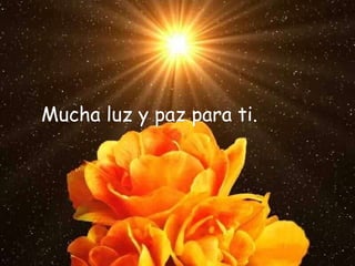 Mucha luz y paz para ti. 