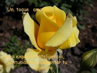 Un  toque  amarillo... ...para expandir inteligencia, entusiasmo y aumentar tu    optimismo. 