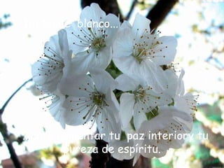 Un toque  blanco... ...para aumentar tu  paz interiory tu  pureza de espíritu. 