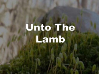 Unto The Lamb