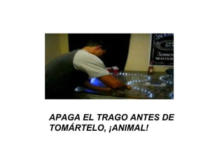 APAGA EL TRAGO ANTES DE
TOMÁRTELO, ¡ANIMAL!
 