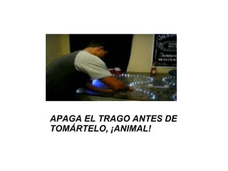 APAGA EL TRAGO ANTES DE TOMÁRTELO, ¡ANIMAL! 