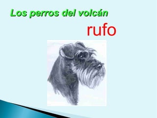 Los perros del volcán

rufo

 