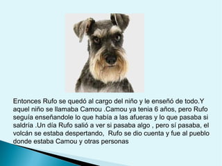 Entonces Rufo se quedó al cargo del niño y le enseñó de todo.Y
aquel niño se llamaba Camou .Camou ya tenia 6 años, pero Rufo
seguía enseñandole lo que había a las afueras y lo que pasaba si
saldría .Un día Rufo salió a ver si pasaba algo , pero sí pasaba, el
volcán se estaba despertando, Rufo se dio cuenta y fue al pueblo
donde estaba Camou y otras personas

 