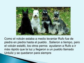 Como el volcán estaba a medio levantar Rufo fue de
piedra en piedra hasta el pueblo . Salieron a tiempo, pero
el volcán estalló, los otros perros ayudaron a Rufo a ir
más rápido que la luz y llegaron a un pueblo llamado
Urduliz y se quedaron para siempre

 