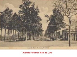 Avenida Fernando Mate de Luna  