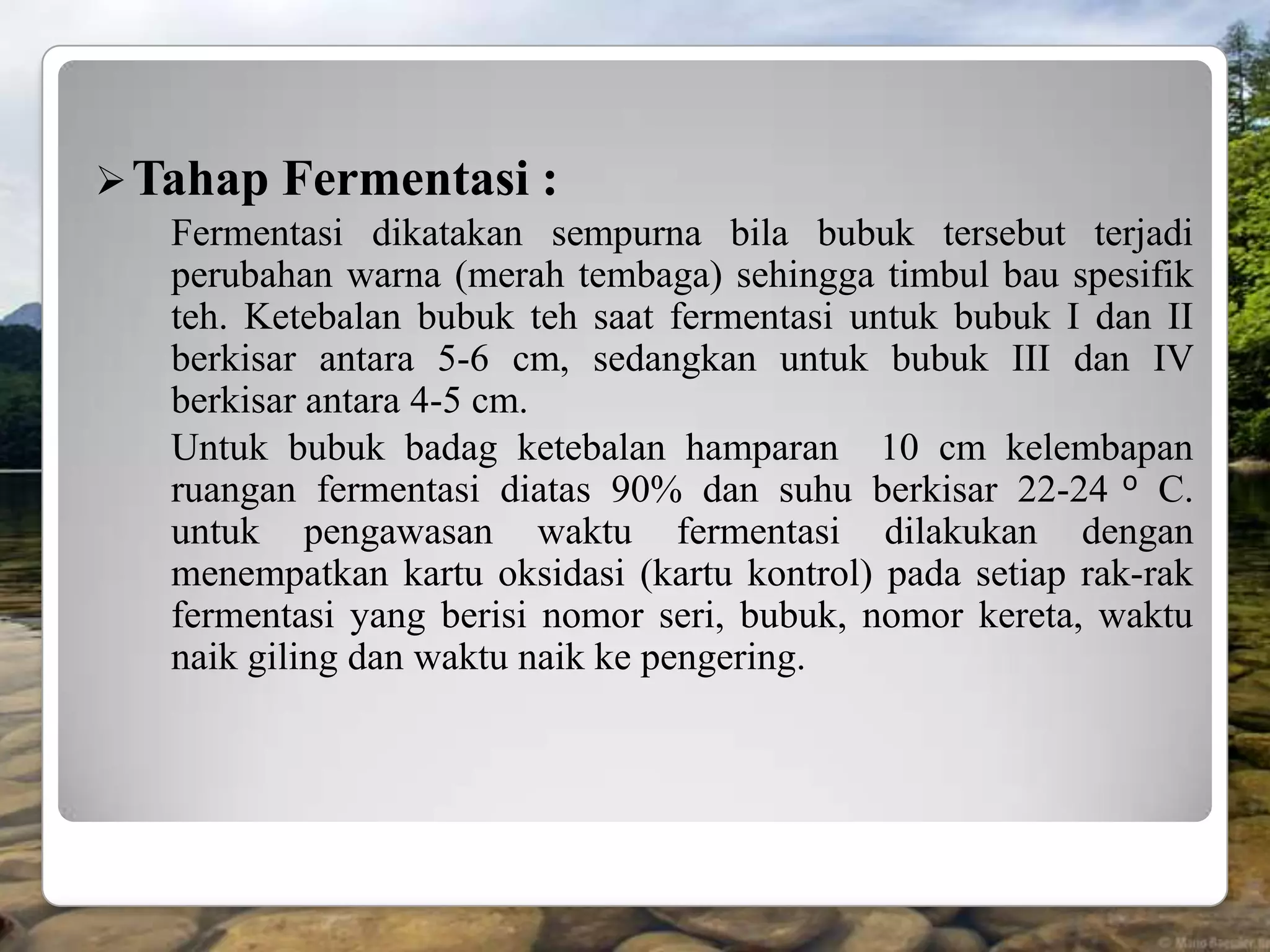  Tahap   Fermentasi :
   Fermentasi dikatakan sempurna bila bubuk tersebut terjadi
   perubahan warna (merah tembaga) sehingga timbul bau spesifik
   teh. Ketebalan bubuk teh saat fermentasi untuk bubuk I dan II
   berkisar antara 5-6 cm, sedangkan untuk bubuk III dan IV
   berkisar antara 4-5 cm.
   Untuk bubuk badag ketebalan hamparan 10 cm kelembapan
   ruangan fermentasi diatas 90% dan suhu berkisar 22-24 o C.
   untuk pengawasan waktu fermentasi dilakukan dengan
   menempatkan kartu oksidasi (kartu kontrol) pada setiap rak-rak
   fermentasi yang berisi nomor seri, bubuk, nomor kereta, waktu
   naik giling dan waktu naik ke pengering.
 