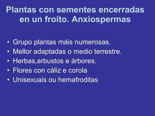 Plantas con sementes encerradas en un froito. Anxiospermas Grupo plantas máis numerosas. Mellor adaptadas o medio terrestre. Herbas,arbustos e árbores. Flores con cáliz e corola Unisexuais ou hemafroditas 
