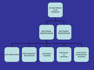 AS BACTERIAS E AS  PERSOAS BACTERIAS  BENEFICIOSAS BACTERIAS  PERXUDICIAIS LOITA BIOLÓXICA FERTILIZANTES  BIOLÓXICOS Actividades industriais Loita contra a Contaminación  ambiental Fabricación  de alimentos 