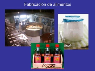 Fabricación de alimentos 