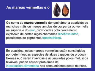 Co nome de  marea vermella  denominámo-la aparición de manchas máis ou menos amplas de cor parda ou vermella na superficie do  mar , provocadas polo crecemento explosivo de certas algas chamadas  dinoflaxelados , posuidores de pigmentos  fotosintéticos . As mareas vermellas e o  En ocasións, estas mareas vermellas están constituídas por determinadas especies de algas capaces de producir toxinas e, ó seren inxeridas e acumuladas polos moluscos bivalvos, poden causar problemas de  intoxicación alimentaria  nos consumidores deste marisco. 