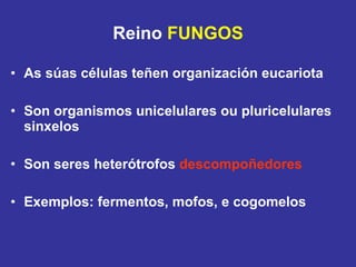 Reino  FUNGOS As súas células teñen organización eucariota Son organismos unicelulares ou pluricelulares sinxelos Son seres heterótrofos  descompoñedores Exemplos: fermentos, mofos, e cogomelos 