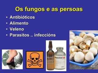 Os fungos e as persoas Antibióticos Alimento Veleno Parasitos .. infeccións 