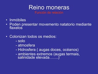 Reino moneras Función de relación Inmóbiles Poden presentar movemento natatorio mediante flaxelos Colonizan todos os medios: - solo - atmosfera - Hidrosfera ( augas doces, océanos) - ambientes extremos (augas termais,    salinidade elevada…….) 