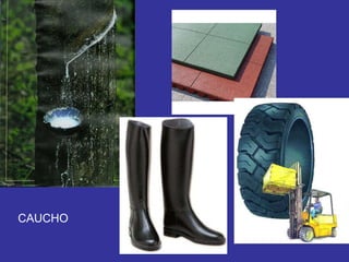 CAUCHO 