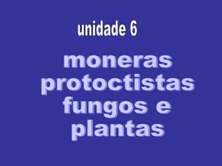 moneras protoctistas fungos e plantas unidade 6 