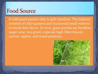 Unusual adaptations | PPT