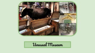 Unusual Museum
 