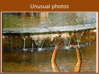 Unusual photos,[object Object]