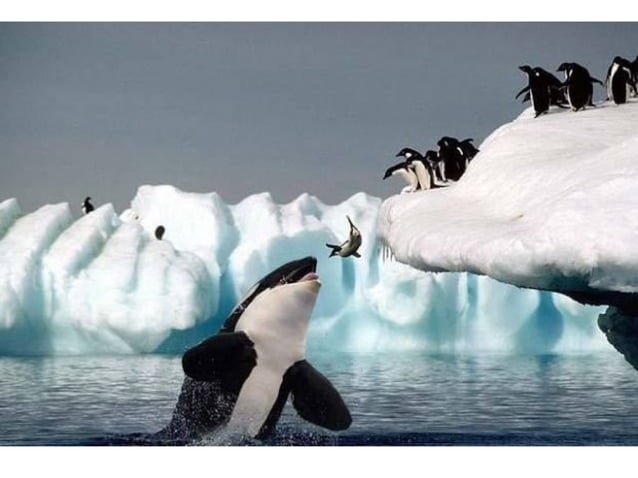 Unusual Photos @ Unusual Moments