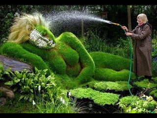 Unusual pics08 2012-0phyl1