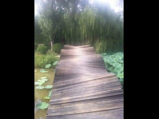 Unusual pics08 2012-0phyl1