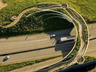 Unusual pics08 2012-0phyl1