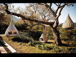 Unusual pics08 2012-0phyl1